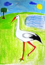 Sajková Natália.jpg